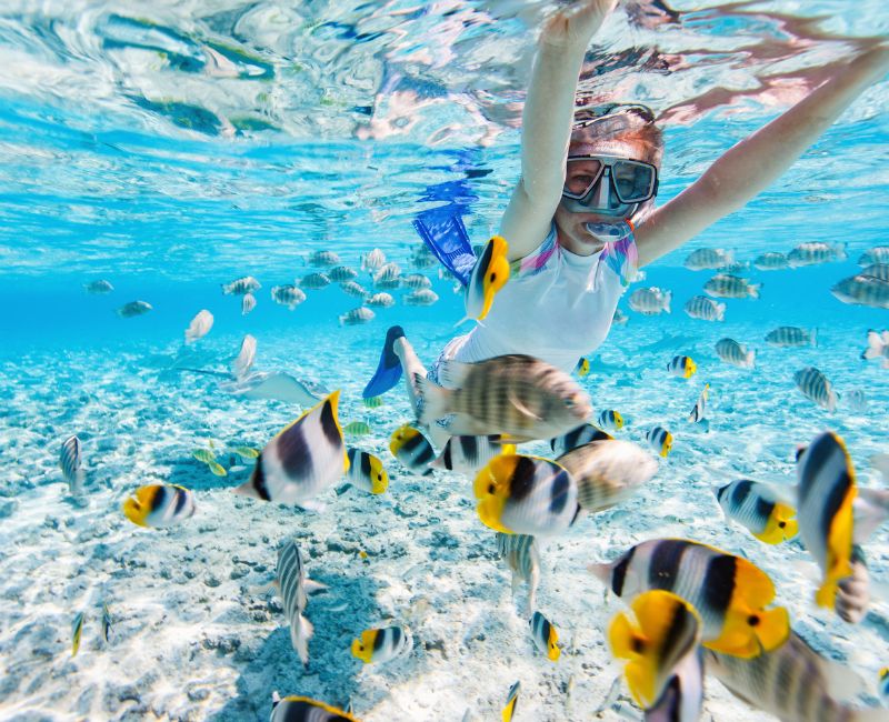 Snorkeling